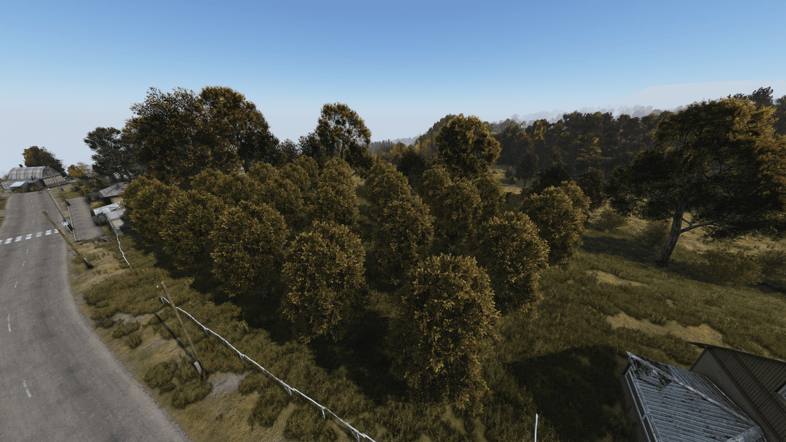 Сливы — Черная поляна